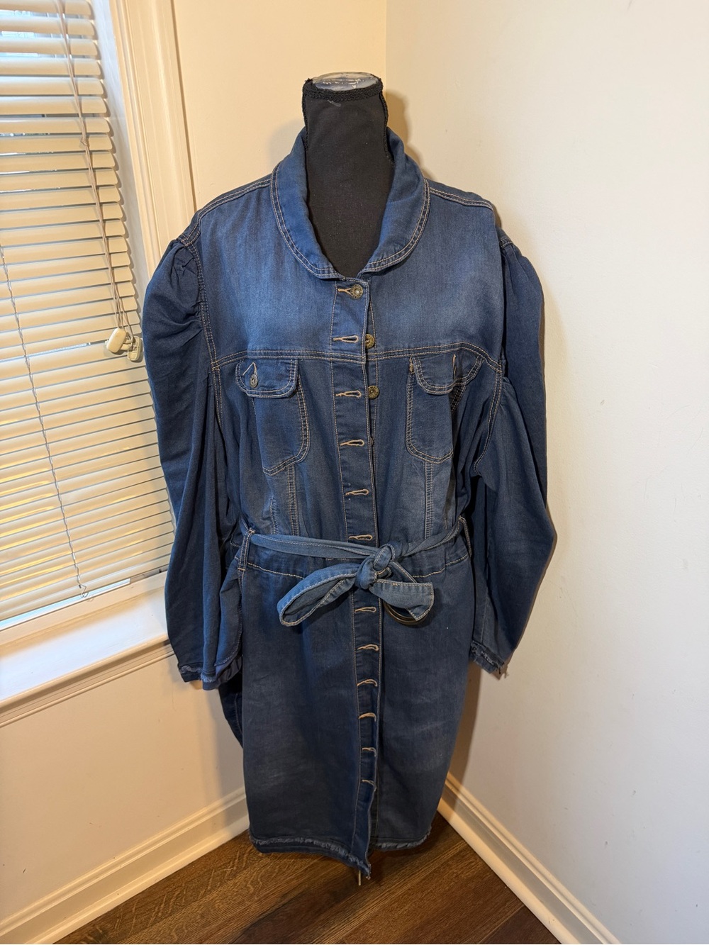 Ashley Stewart Women's Size 28 Blue Pleated Western Long Sleeve Denim Jean Dress